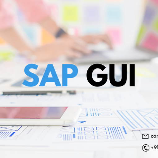 SAP GUI Graphical User Interface