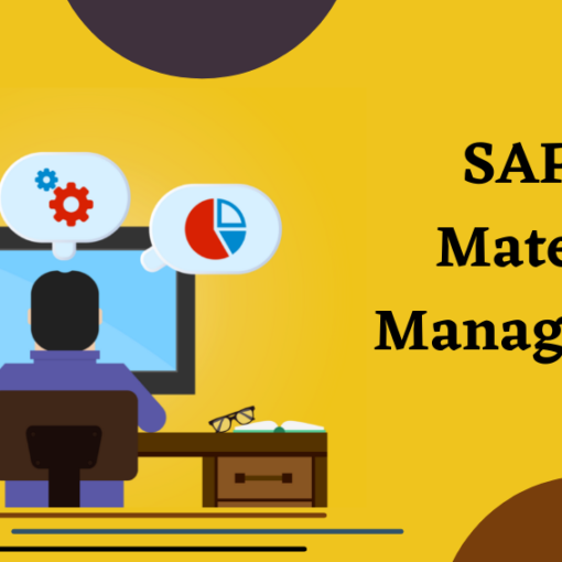 SAP-in-material-management