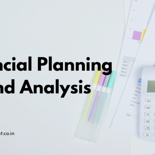 Financial Planning and Analysis (fp&a)