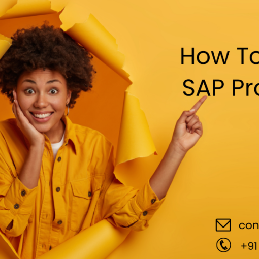 How to work sap program
