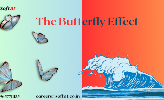 The Butterfly Effect