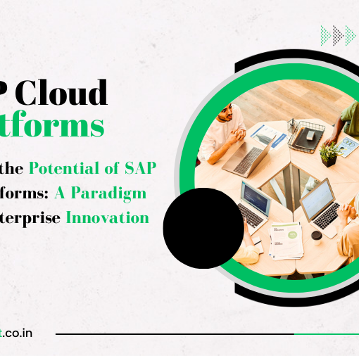 SAP Cloud Platforms