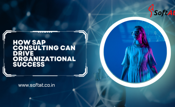 How SAP Consulting Can Drive Organizational Success