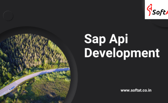 sap api development