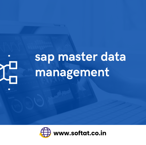 sap master data management