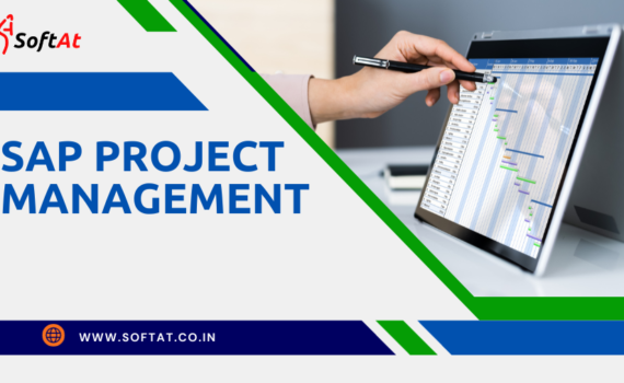 sap project management