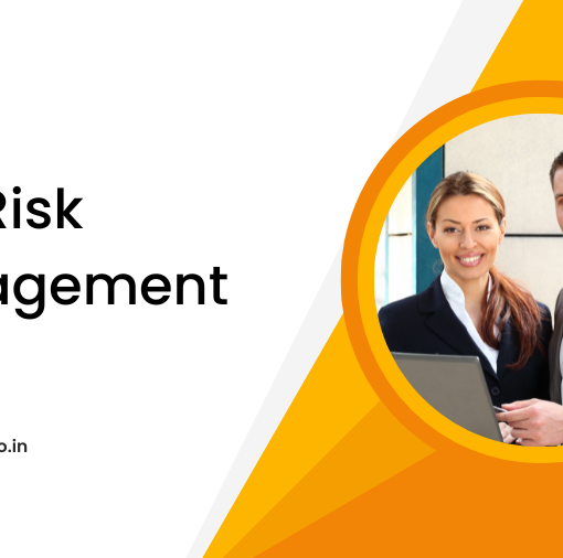 sap risk management