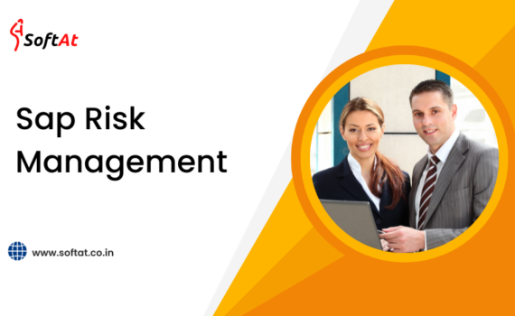 sap risk management