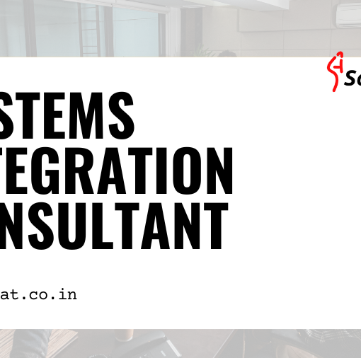 systems integration consultant