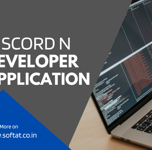 Discord Developer Application