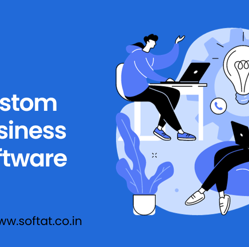 custom business software