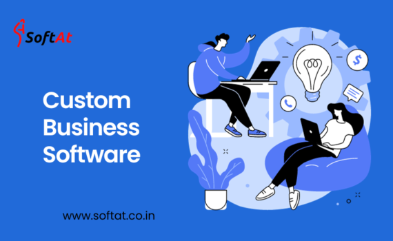 custom business software