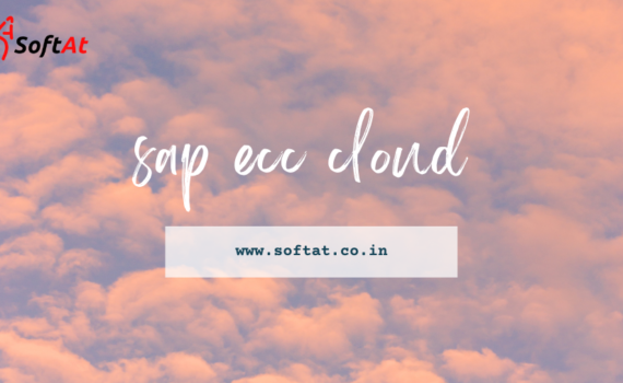 sap ecc cloud