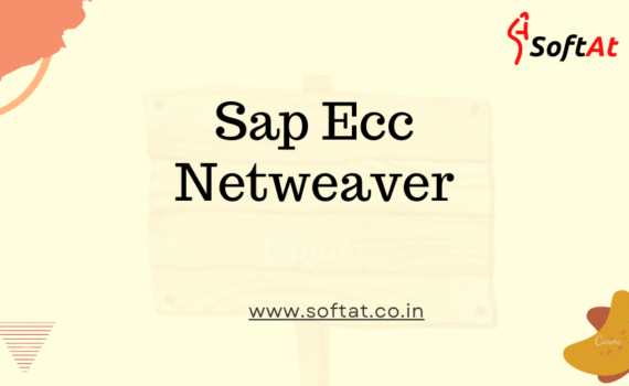 sap ecc netweaver