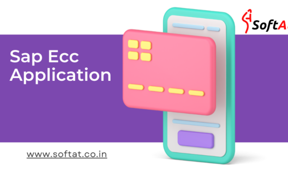 sap ecc application