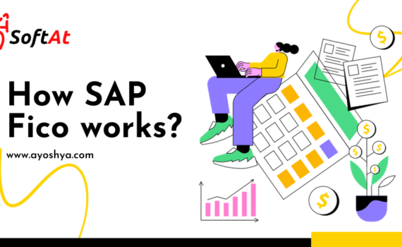 How SAP Fico works