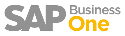 SAP B1 Functional Consultant