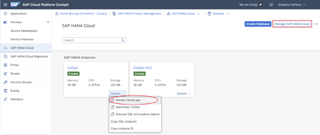 SAP HANA Cloud Tools