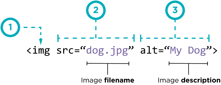 HTML IMG Tag