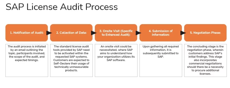 SAP Audits procedure