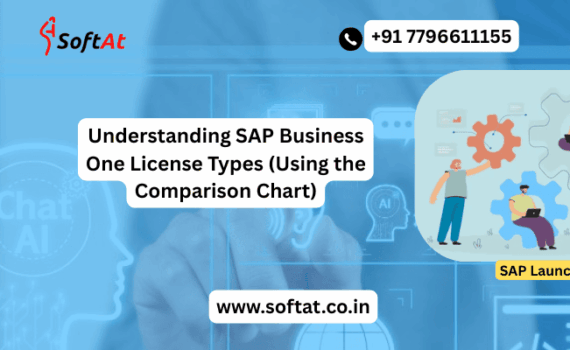 Comparison chart showing SAP Business One license types including Professional, Financial, Logistics, and CRM Sales licenses