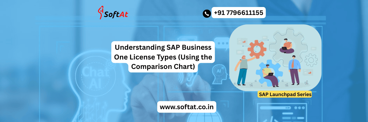 Comparison chart showing SAP Business One license types including Professional, Financial, Logistics, and CRM Sales licenses